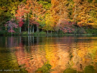fall foliage reflecting in river