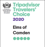 trip advisor 2020 recognition